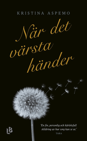 Bild på När det värsta händer