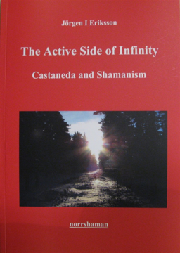 Bild på The active side of infinity : Castaneda and shamanism
