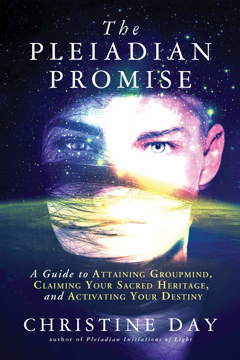 Bild på Pleiadian promise - a guide to attaining groupmind, claiming your sacred he