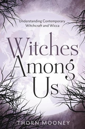 Bild på Witches Among Us: Understanding Contemporary Witchcraft and Wicca