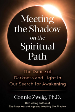Bild på Meeting The Shadow On The Spiritual Path