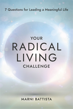 Bild på Your Radical Living Challenge: 7 Questions for Leading a Meaningful Life