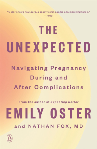 Bild på The Unexpected: Navigating Pregnancy During and After Complications
