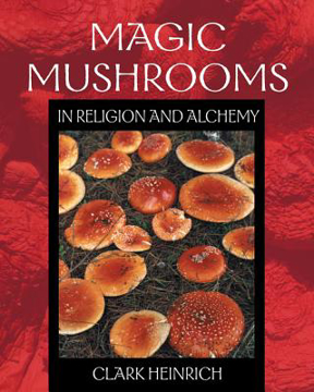 Bild på Magic Mushrooms In Religion And Alchemy (Three 8-Page Color Inserts; 40 B&W Illustrations) (O)