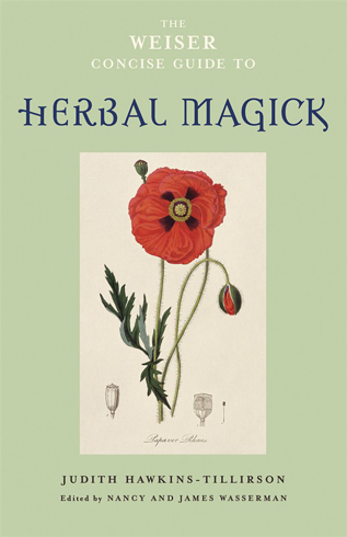 Bild på Weiser concise guide to herbal magick