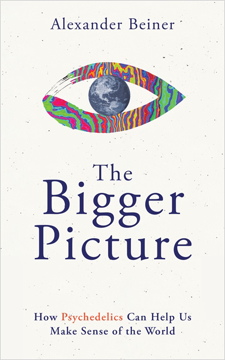 Bild på The Bigger Picture