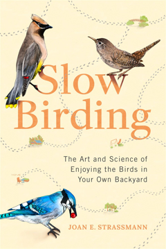 Bild på Slow Birding