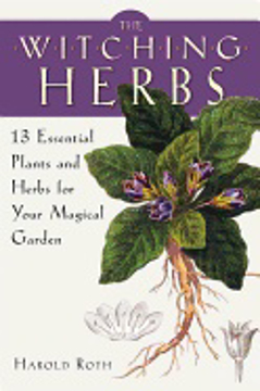 Bild på Witching herbs - 13 essential plants and herbs for your magical garden
