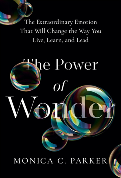Bild på The Power of Wonder