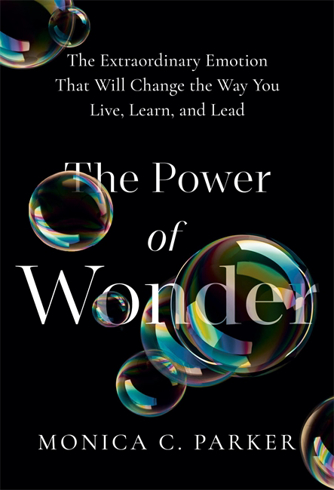 Bild på The Power of Wonder