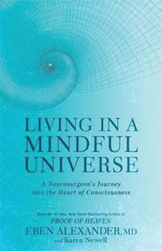 Bild på Living In A Mindful Universe