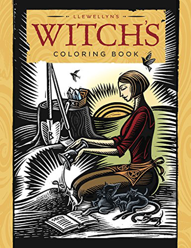 Bild på Llewellyn's Witch's Coloring Book