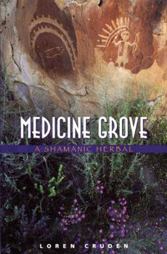 Bild på Medicine Grove: A Shamanic Herbal