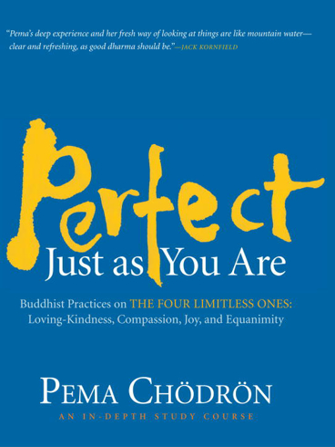 Bild på Perfect Just as You Are