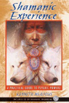 Bild på Shamanic Experience: A Practical Guide To Psychic Powers (Wi