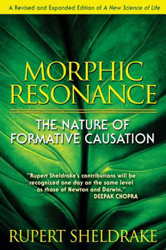 Bild på Morphic resonance - the nature of formative causation