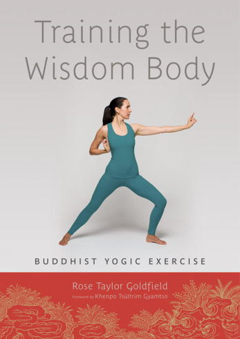 Bild på Training the Wisdom Body