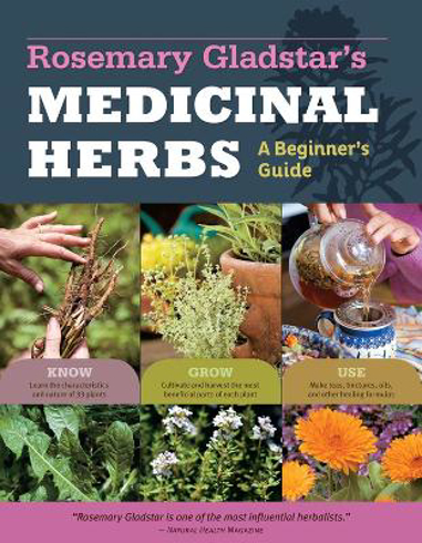 Bild på Medicinal herbs: a beginners guide