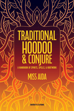 Bild på Traditional Hoodoo & Conjure: A Handbook of Spirits, Spells, & Rootwork